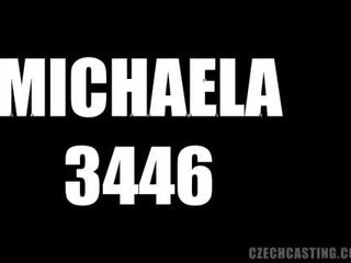 Fundición michaela (3446)